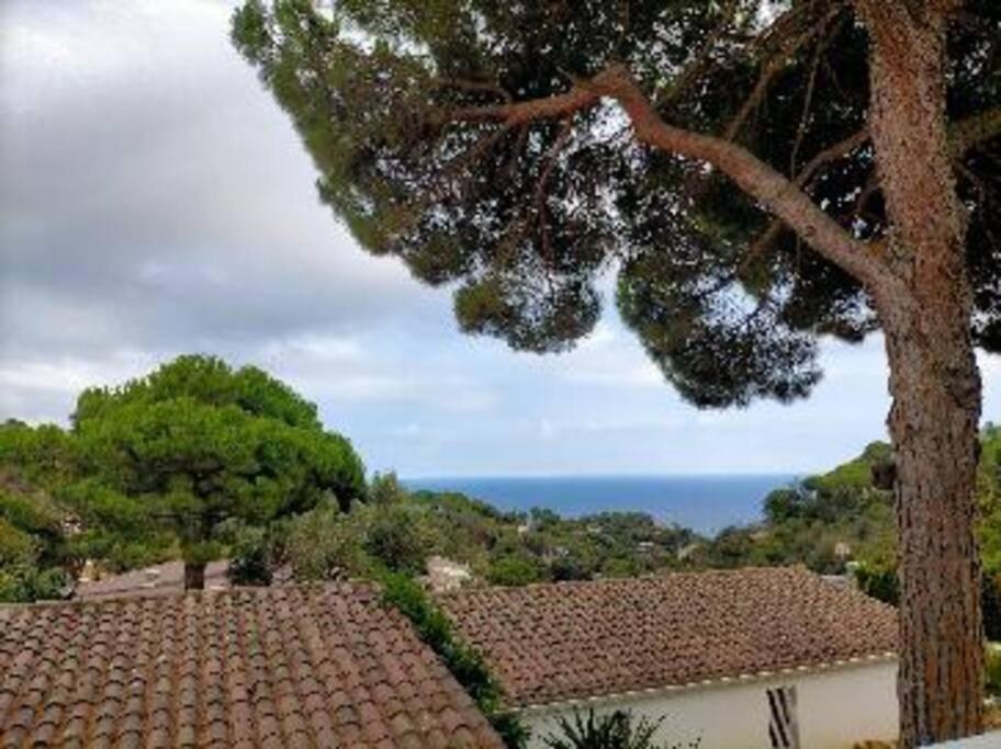 Lesal Villas Rentals, Villa Mar Azul, Tossa De Mar Esterno foto